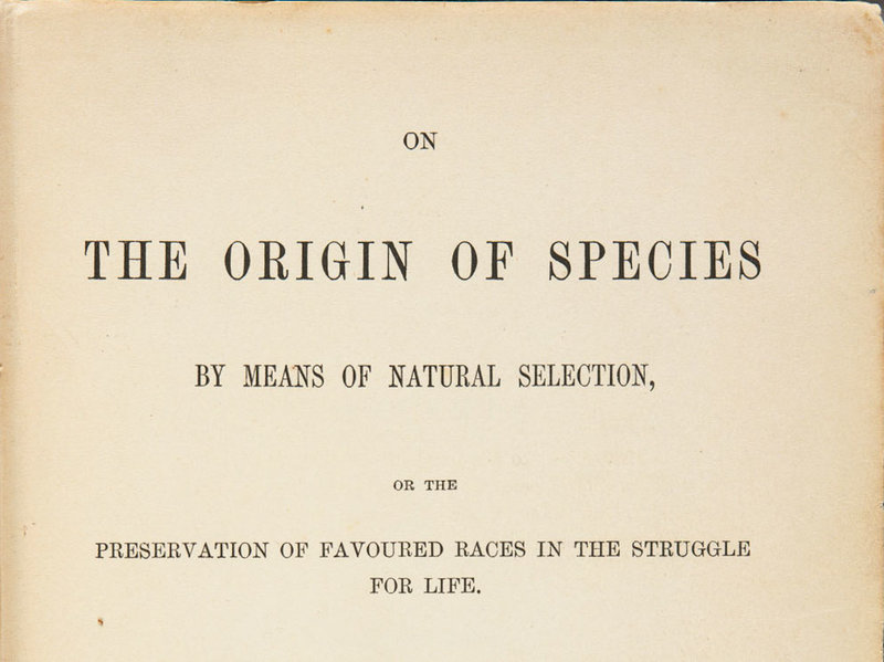 on the origin of species thesis